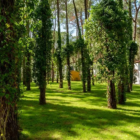 Baia Salima Kemer Hotel