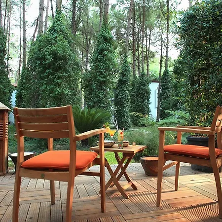 Hotel Baia Salima Kemer